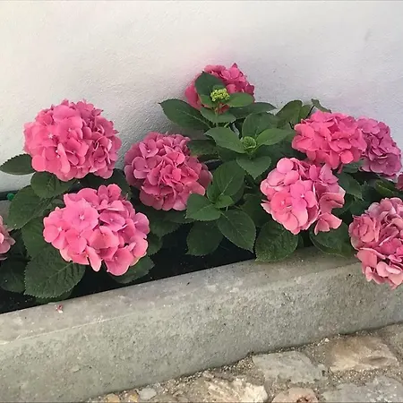 A Gosto Casa de hóspedes