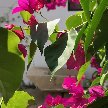 A Gosto بيت ضيافة 2*
