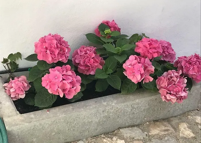 A Gosto Гостевой дом