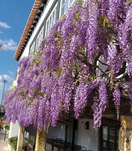 Гостевой дом A Gosto