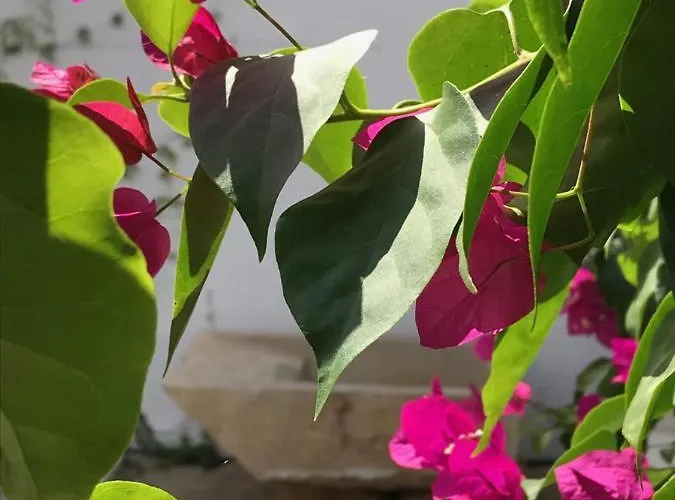 A Gosto Casa de hóspedes 2*